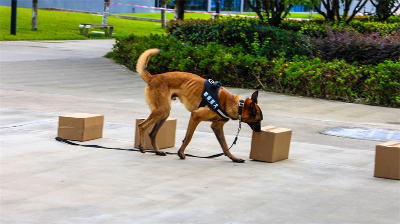 1726707276145017.png 微信图片_20240919084955.png