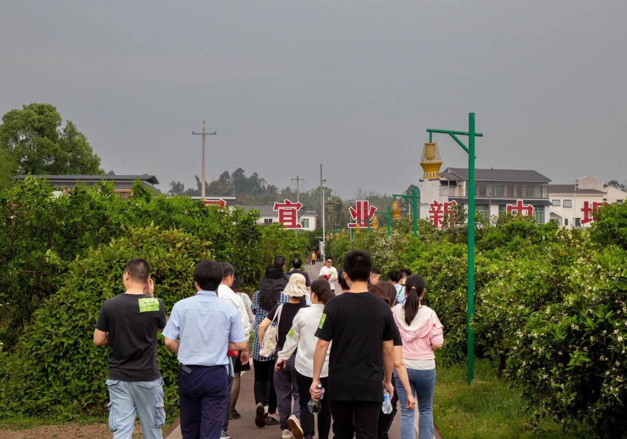 1757042331137486.jpg 1757042331137486.jpg