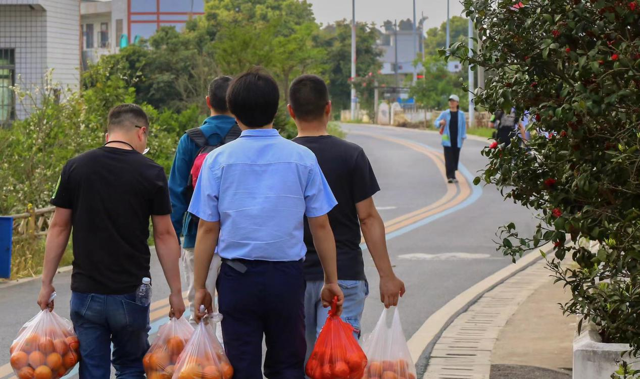 1757042443135657.png 1757042443135657.png