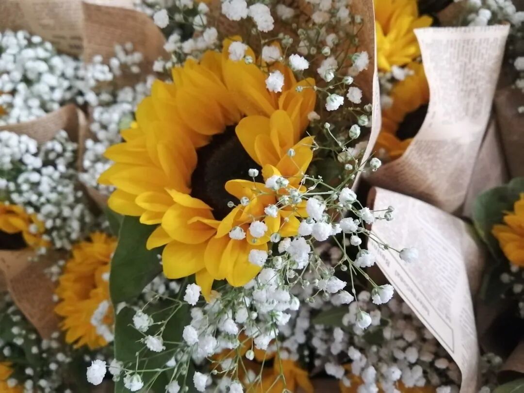 1757580020131345.jpg 1757580020131345.jpg