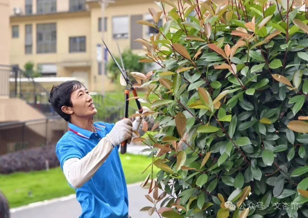 1757923296306128.jpg 1757923296306128.jpg