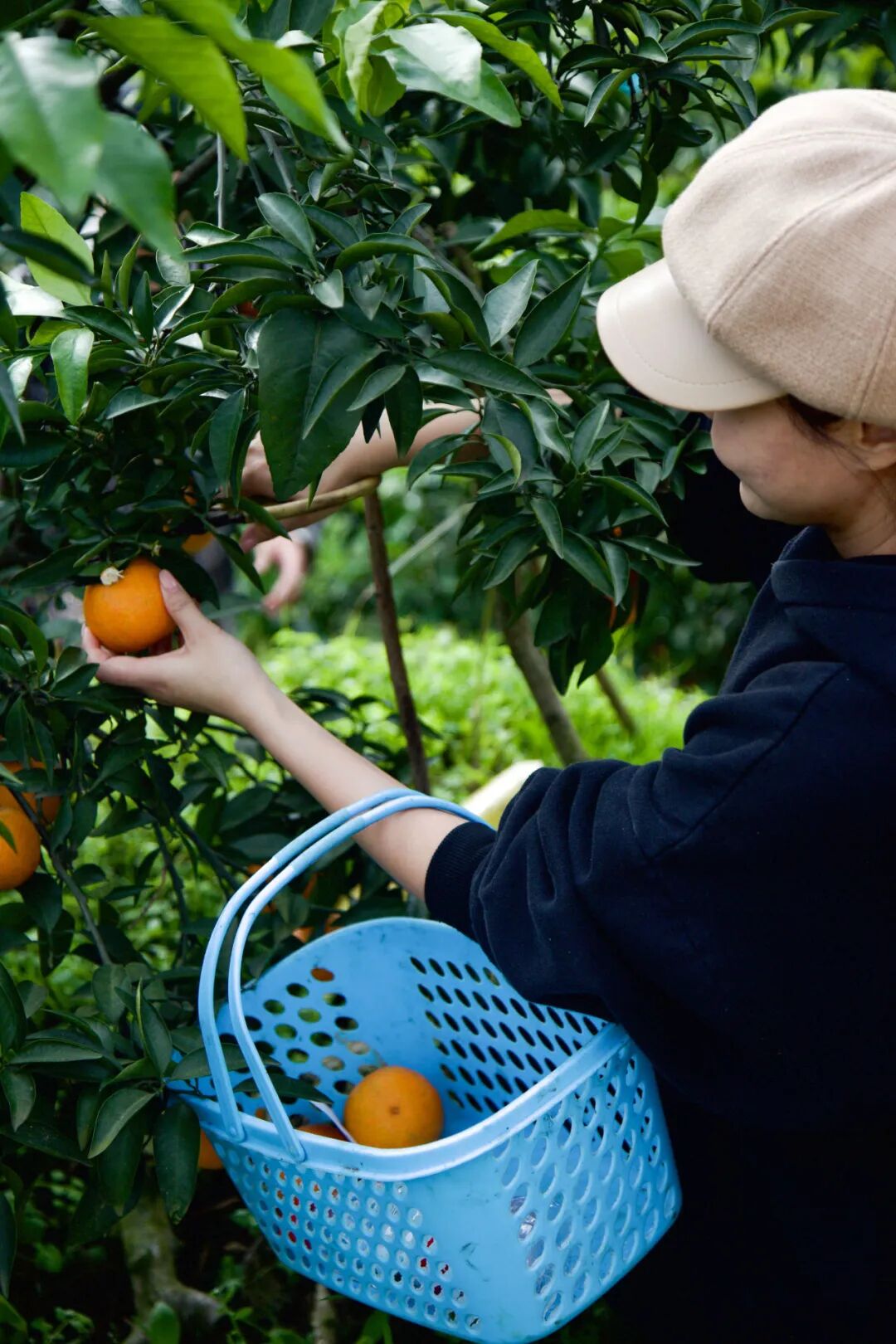 1758075229898675.jpg 1758075229898675.jpg