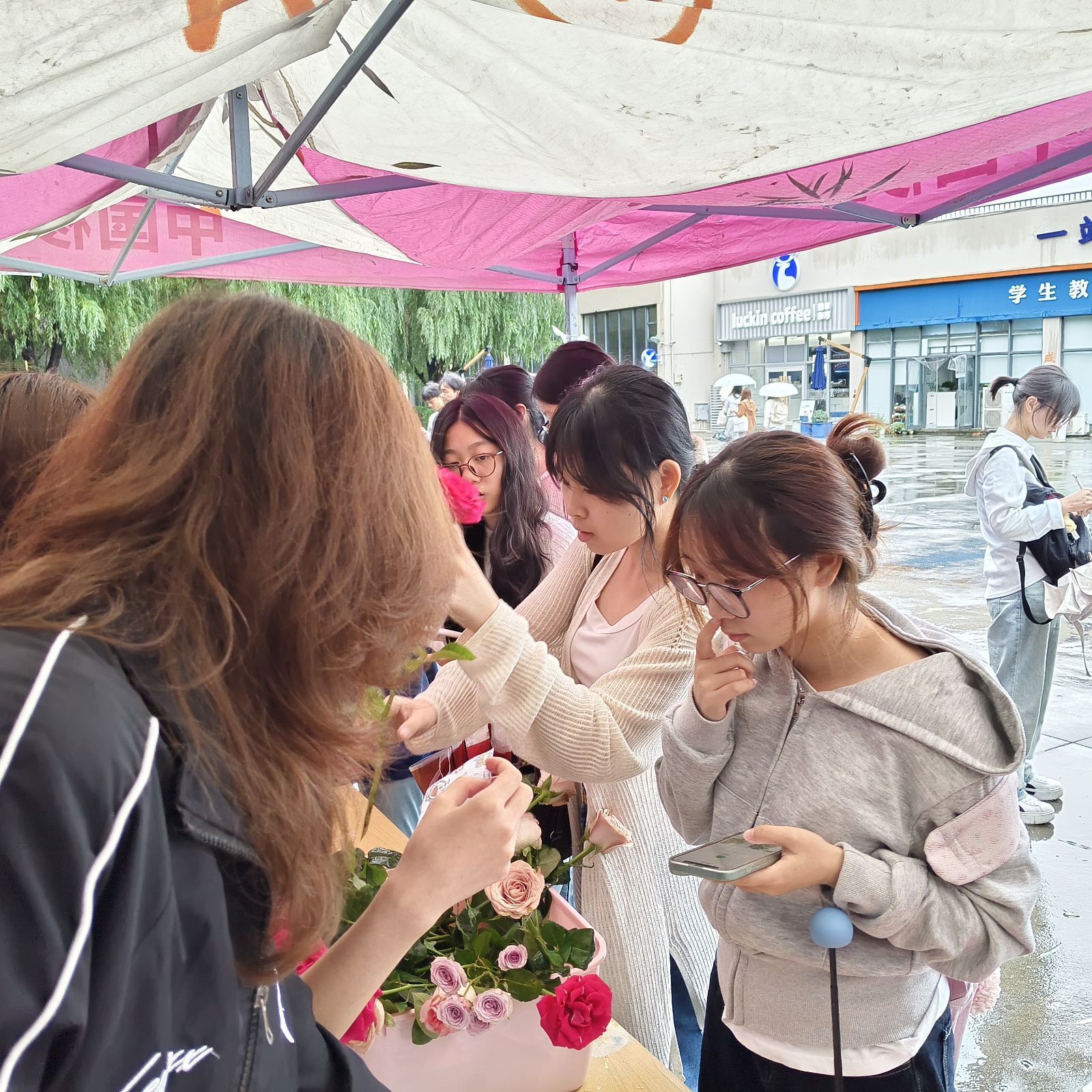 1761892496124835.jpeg 1761892496124835.jpeg