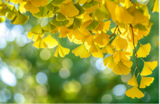 1765761802258793.png 1765761802258793.png