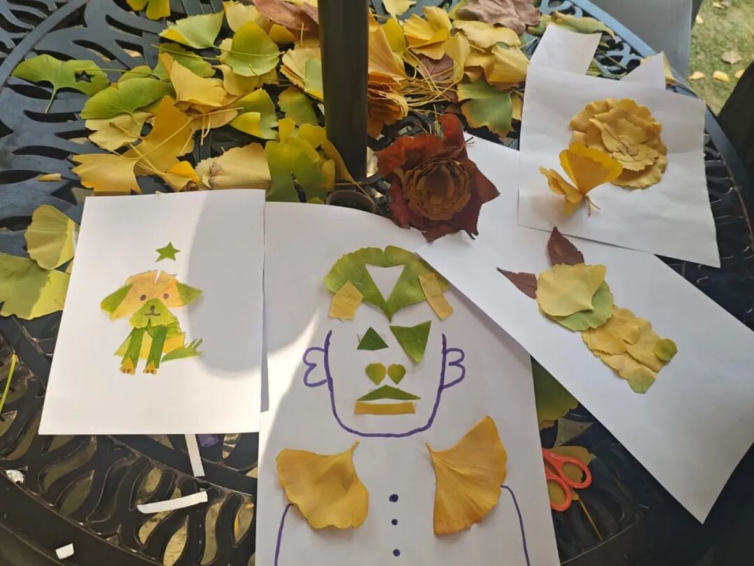 1766626602739544.jpg 1766626602739544.jpg