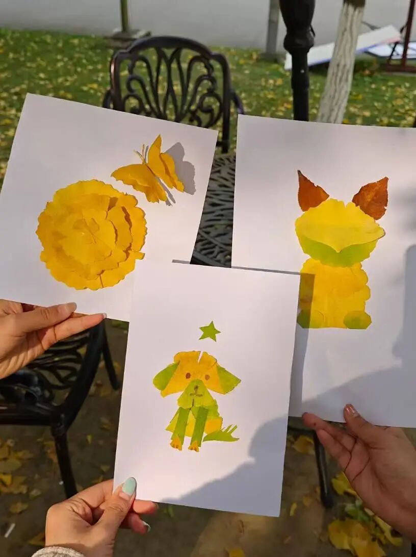 1766626684740533.jpg 1766626684740533.jpg